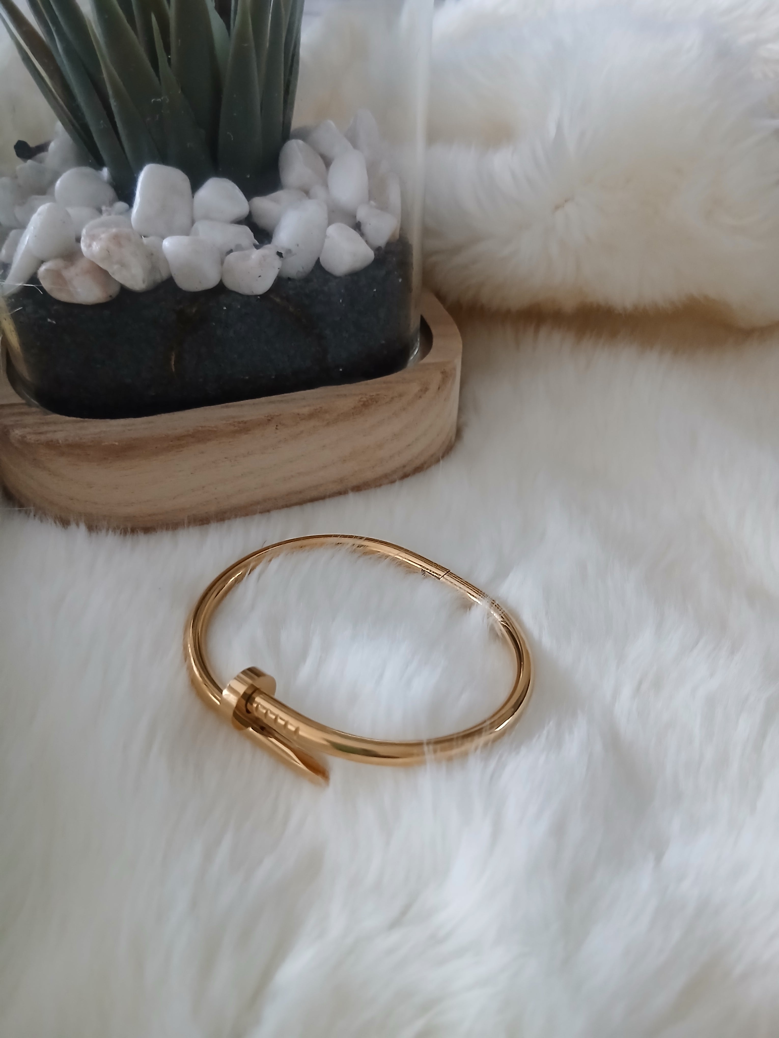Clou de Luxe Bangle